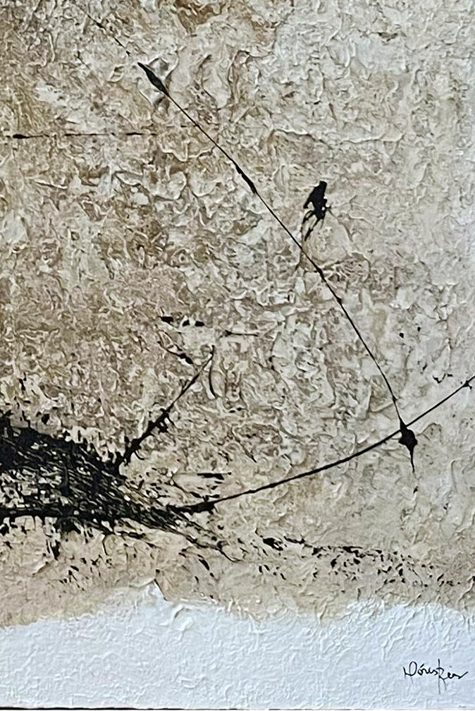 67f6c5ba55476_z2.jpg